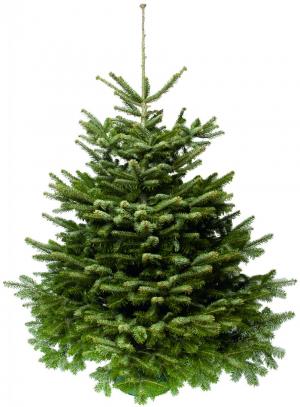 Vianočný stromček